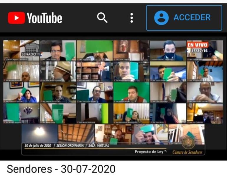 Sesión virtual del Senado, durante el tratamiento de la ley de emergencia para los sectores turismo, gastronomía, hotelería y eventos