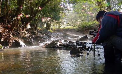 Personas con interés en lo audiovisual pueden presentarse a esta nueva convocatoria de “Creadores”.