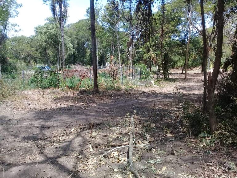 Parte del espacio para plaza donde talaron y realizaron limpieza del terreno para iniciar las obras previas a la construcción de un centro sanitario, según mencionaron los propietarios de inmuebles de la urbanización.