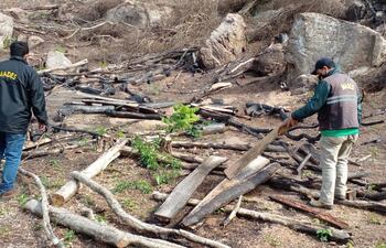 Más de dos hectáreas de bosque fue destruido presumiblemente en Ybycuí