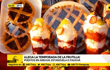 Cómo trabaja la Asociación de productores de frutilla