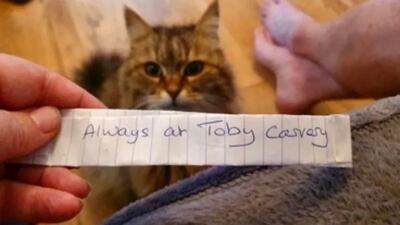 "¿Este gato tiene una casa?", decía en la hoja con fecha de 16 de agosto. "Siempre está en Toby Carvery (un local de comida)", se leía en el dorso.