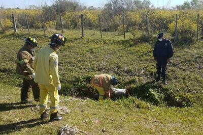 Condenan a 20 años de cárcel por el asesinato de una joven cuyo cuerpo fue arrojado en el acceso Sur