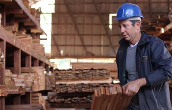 La pandemia reactivó la industria maderera, destaca Fepama