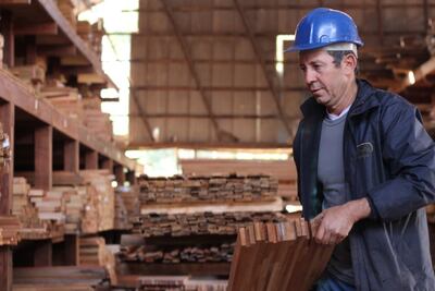 La pandemia reactivó la industria maderera, destaca Fepama