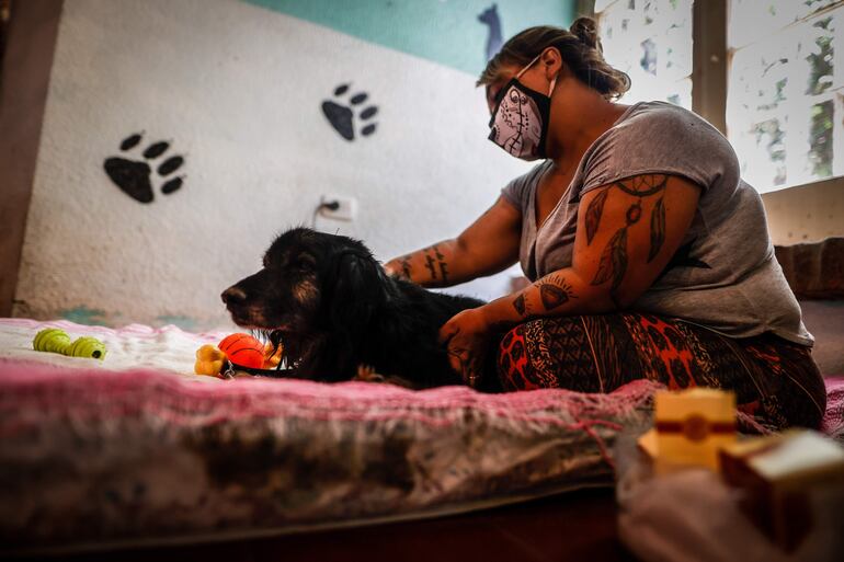 Sandra Benítez, colaboradora del hogar de animales Aprani, le realiza un tratamiento de acupuntura y ultrasonido a un perro, en Moreno (Argentina).