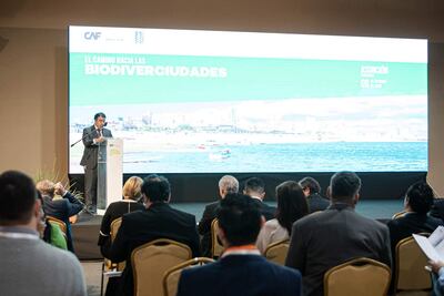 Programa "Biodiverciudades" busca inversión estructural en municipios con principios de sustentabilidad ambiental.