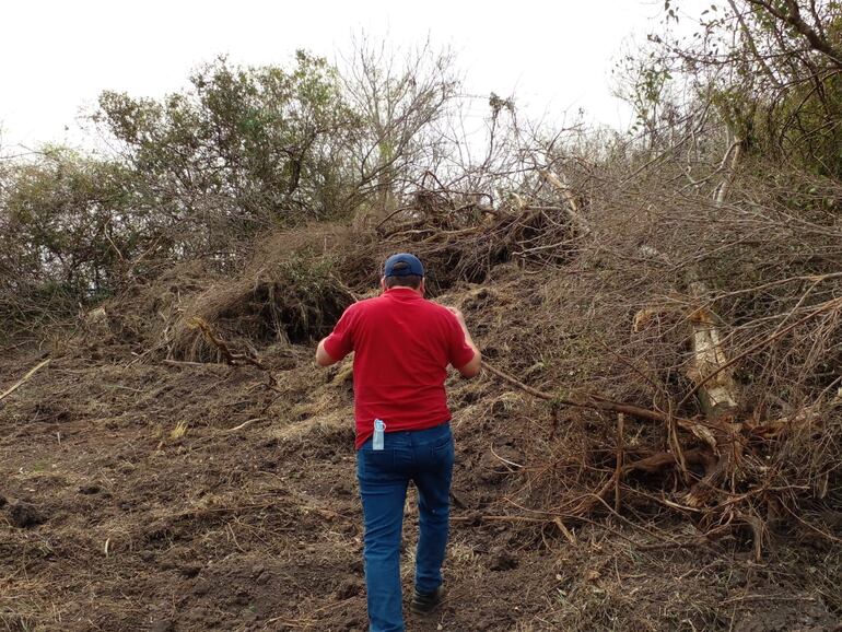 Varios árboles nativos que formaban parte de la masa forestal en la cuenca del arroyo Mbaey