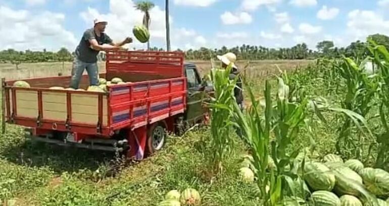 Muchos comercializan sus productos en finca y otros van a Asunción.