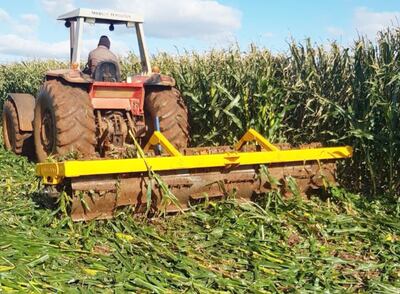 Momento de la destrucción de parcelas ilegales.