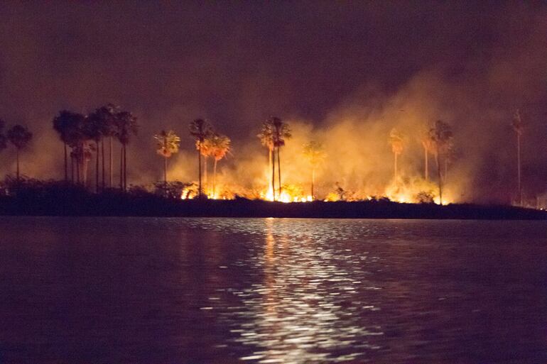 Pantanal en llamas.