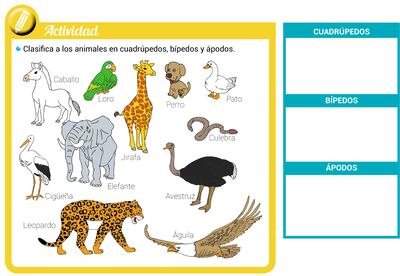 Animales según el número de patas