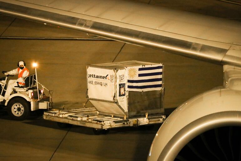 Personal del aeropuerto internacional de Carrasco de Uruguay trabaja en la descarga del avión que transportó las primeras 50.000 dosis de la vacuna, del laboratorio Pfizer a Montevideo. Fue el 10 de marzo.