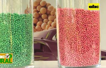 Preocupación por venta de semillas no certificadas o ilegales