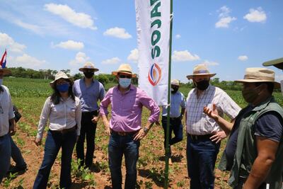 Día de campo sobre soja y maíz en pequeñas fincas, organizado por Inbio, en Lima, San Pedro. La Ing. Agr. Estela Ojeda, gerente del Inbio, el ministro Santiago Bertoni, entre otros..