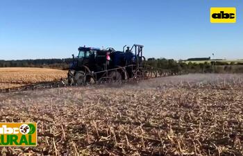 Ciclo de producción y tecnología de siembra