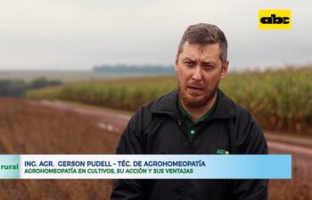 Agrohomeopatia en cultivos, su acción y sus ventajas