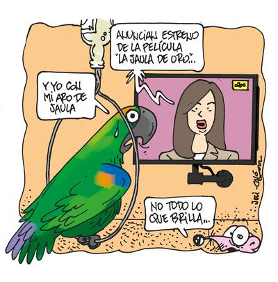 JAULA