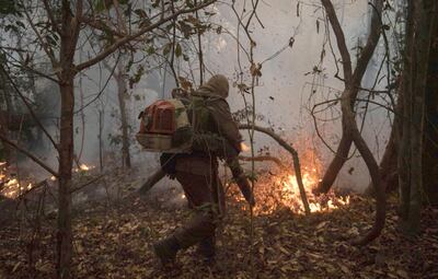 Los incendios se multiplican en el Pantanal. Los daños que produce el fuego a este humedal alcanzan niveles récord.  Santuarios de aves y otros especies silvestres van desapareciendo.