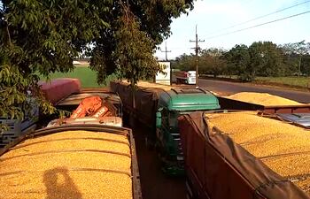 Cargamento de producción de maíz