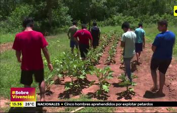 #SobreVivencias: En busca de una vida mejor