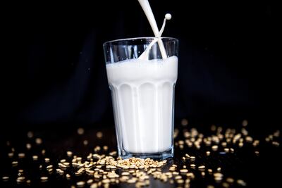 Leche de avena en un vaso. La selección de alternativas lácteas de origen vegetal es enorme, y se promueven como favorables para la salud y el clima. Sin embargo, los expertos valoran de forma diferente cada una de las variedades.