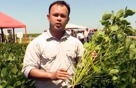 La variabilidad de suelo, clima y otros factores hace que el productor necesite sojas adaptadas.