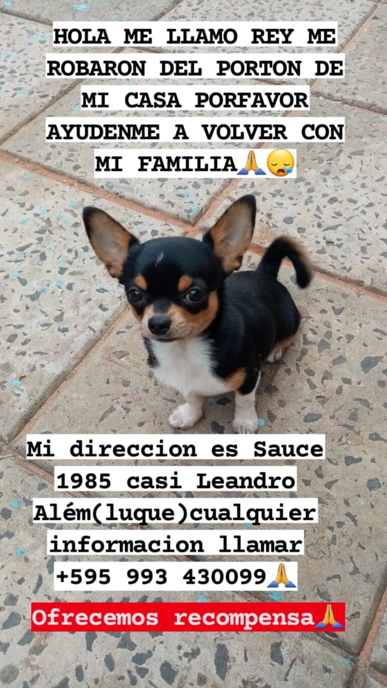 La familia ofrece una recompensa.