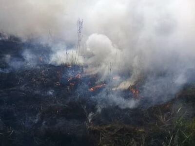 Incendio de pastizal en Ybycuí.