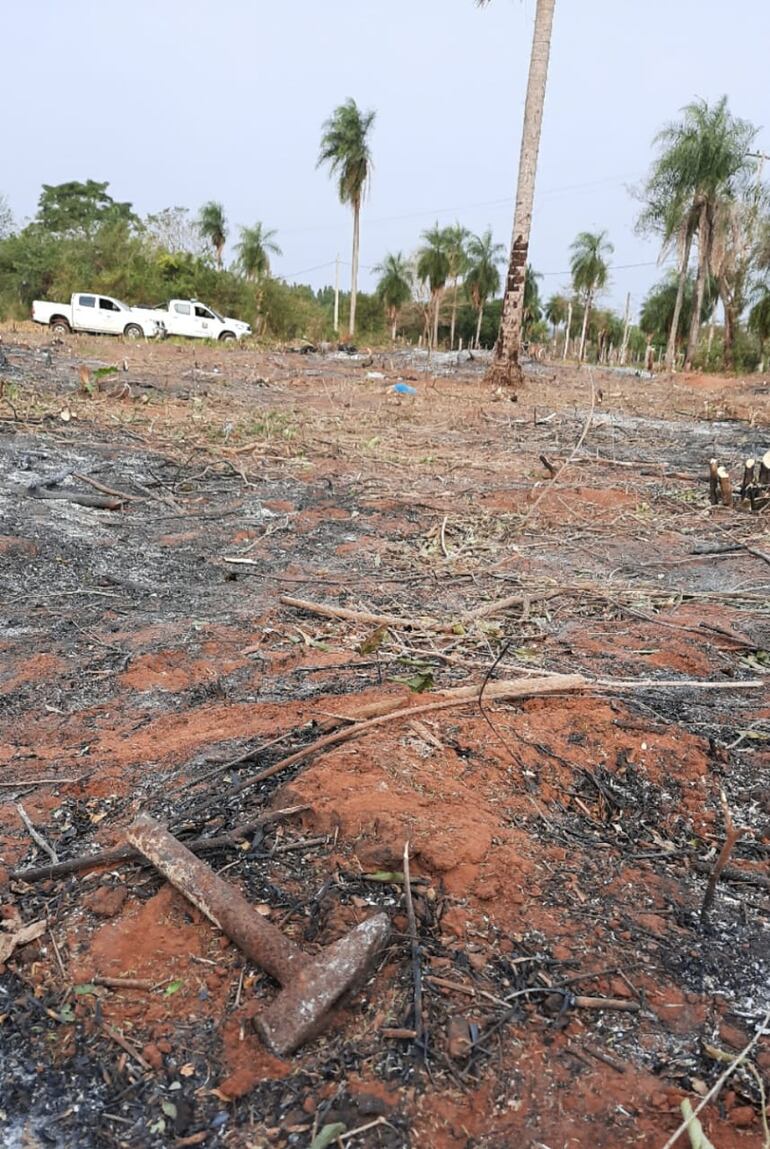 /pf/resources/images/abc-placeholder.png?d=2394