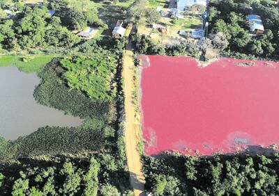 Un lado de la laguna Cerro tiene tono rojizo por la contaminación.
