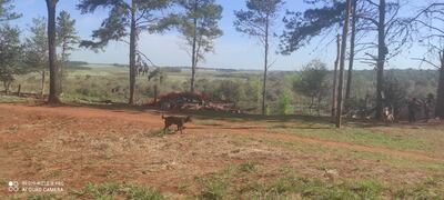 Una de las viviendas que fue destruida durante un desalojo de ocupantes irregulares en el predio de la escuela agrícola San Benito.
