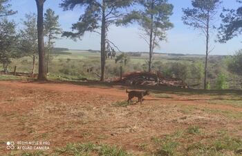 Una de las viviendas que fue destruida durante un desalojo de ocupantes irregulares en el predio de la escuela agrícola San Benito.