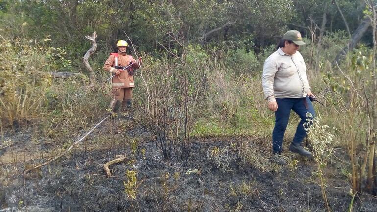 Mediante el control del fuego no se propagó en la parte boscosa.