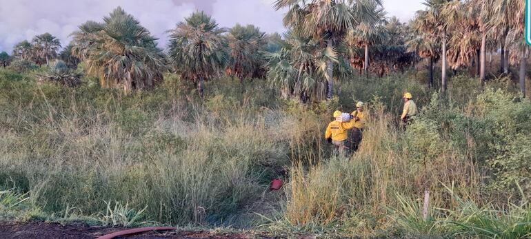 Incendio forestal en la zona de San Bernardino - Luque.