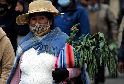 Una mujer con plantas medicinales con una mascarilla en su rostro.