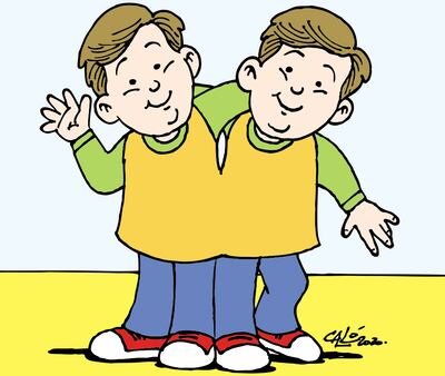 Los bebés siameses del IPS están en óptimas condiciones.