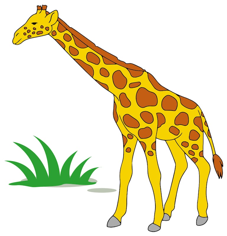 Animales de la selva