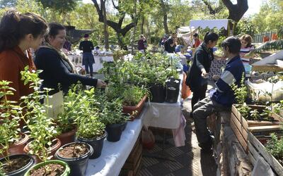 Ferias que se realizan en la Plaza Italia