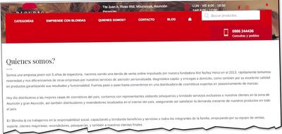 Presentación de Blondas & Cia en su página web y en la cual detalla su actual rubro de trabajo.