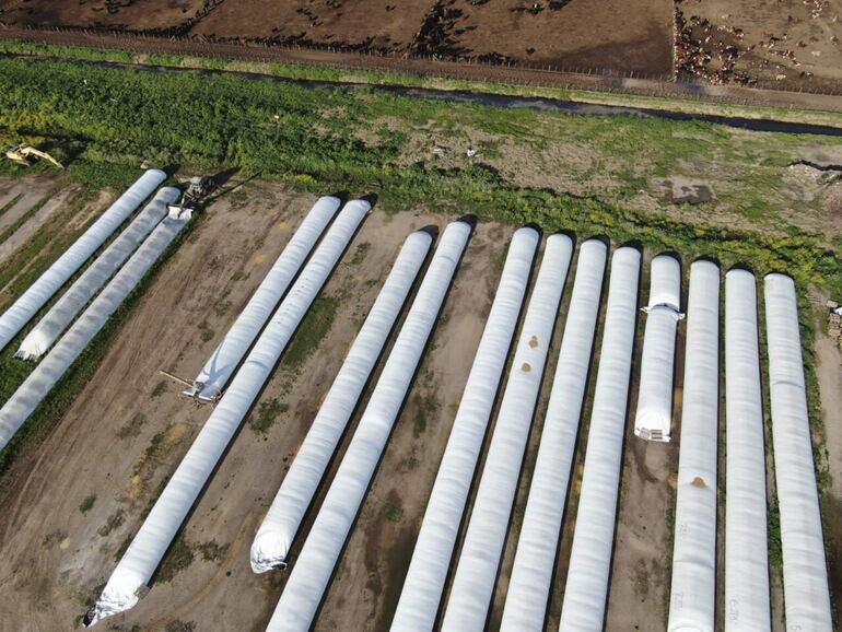 Fotografía aérea cedida hoy por la Administración Federal de Ingresos Públicos (AFIP) de Argentina que muestra silos en un campo de soja en la provincia de Santa Fe (Argentina). (EFE/AFIP)