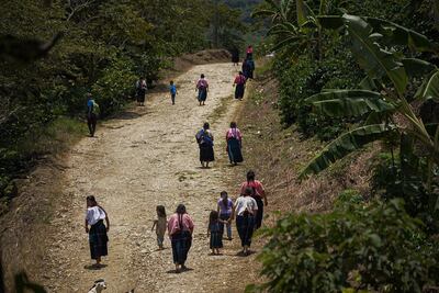 Vista de indígenas desplazados de Aldama, en las montañas del estado de Chiapas (México).