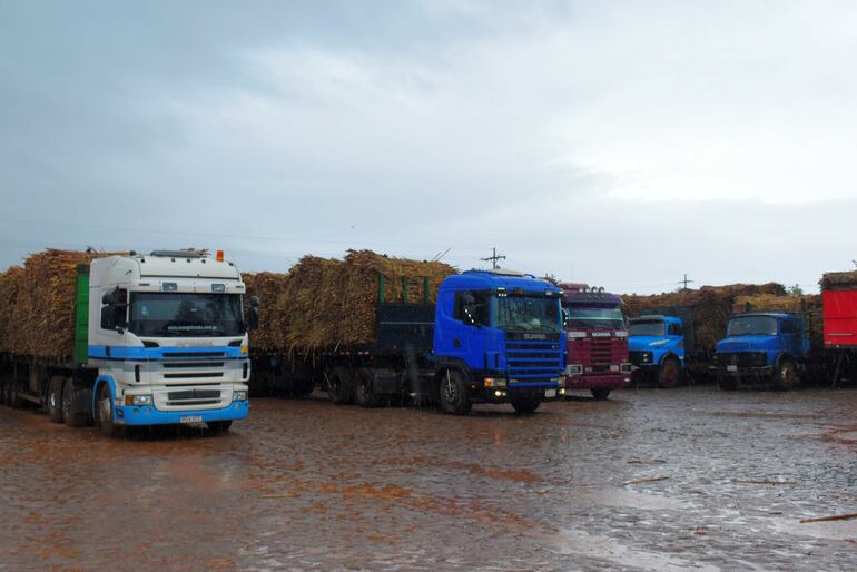 Un centenar de camiones cargados con caña dulce están apostados desde hace varias semanas frente al ingenio aguardando el acopio.