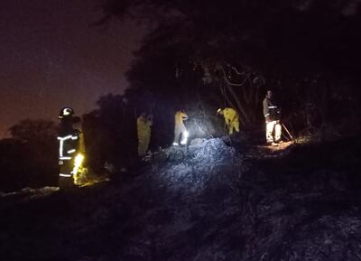 Incendio en la parte baja del cerro Ñemby causó susto