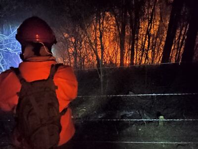 El Ministerio del Ambiente (Mades) identificó a propietarios de predios donde se registraron incendios de gran magnitud.