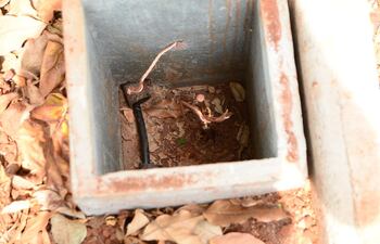 Fueron sustraídos 120 metros lineales de cables de la instalación eléctrica.