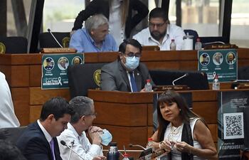 La diputada Celeste Amarilla fue el blanco de críticas de sus colegas, aunque finalmente no pasó de un "cháke" por sus expresiones.