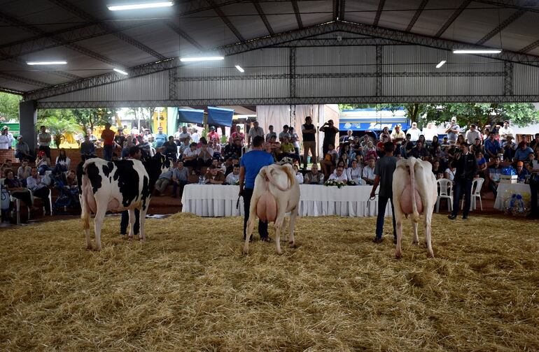 El sector pecuario estará presente en Agrodinámica.