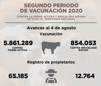 SEGUNDO PERIODO DE VACUNACIÓN 2020