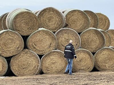 Fotografía cedida hoy por la Administración Federal de Ingresos Públicos (AFIP) de Argentina que muestra a uno de sus funcionarios durante un operativo en la provincia de Santa Fe (Argentina). Los fuertes controles cambiarios en Argentina incentivan el contrabando de granos, de los cuales el país suramericano es uno de los principales productores del mundo, para quedarse con las divisas o poder cambiarlas por pesos a un mayor valor, además de evitar pagar impuestos de exportación. (EFE)